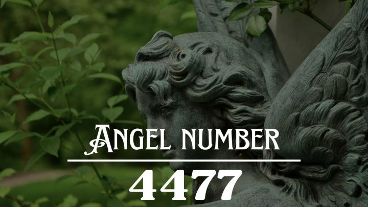 Angel Number 4477 Meaning: Expect The Unexpected, Wonderful Things Are About To Happen !