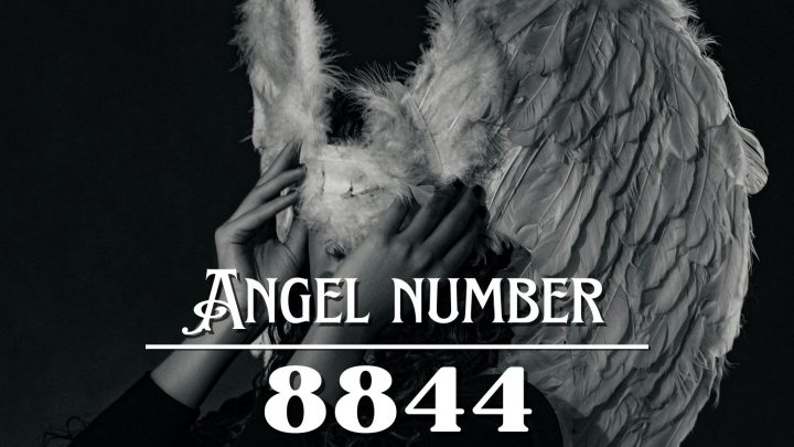 Angel Number 8844 Meaning: The Long Journey Into Yourself