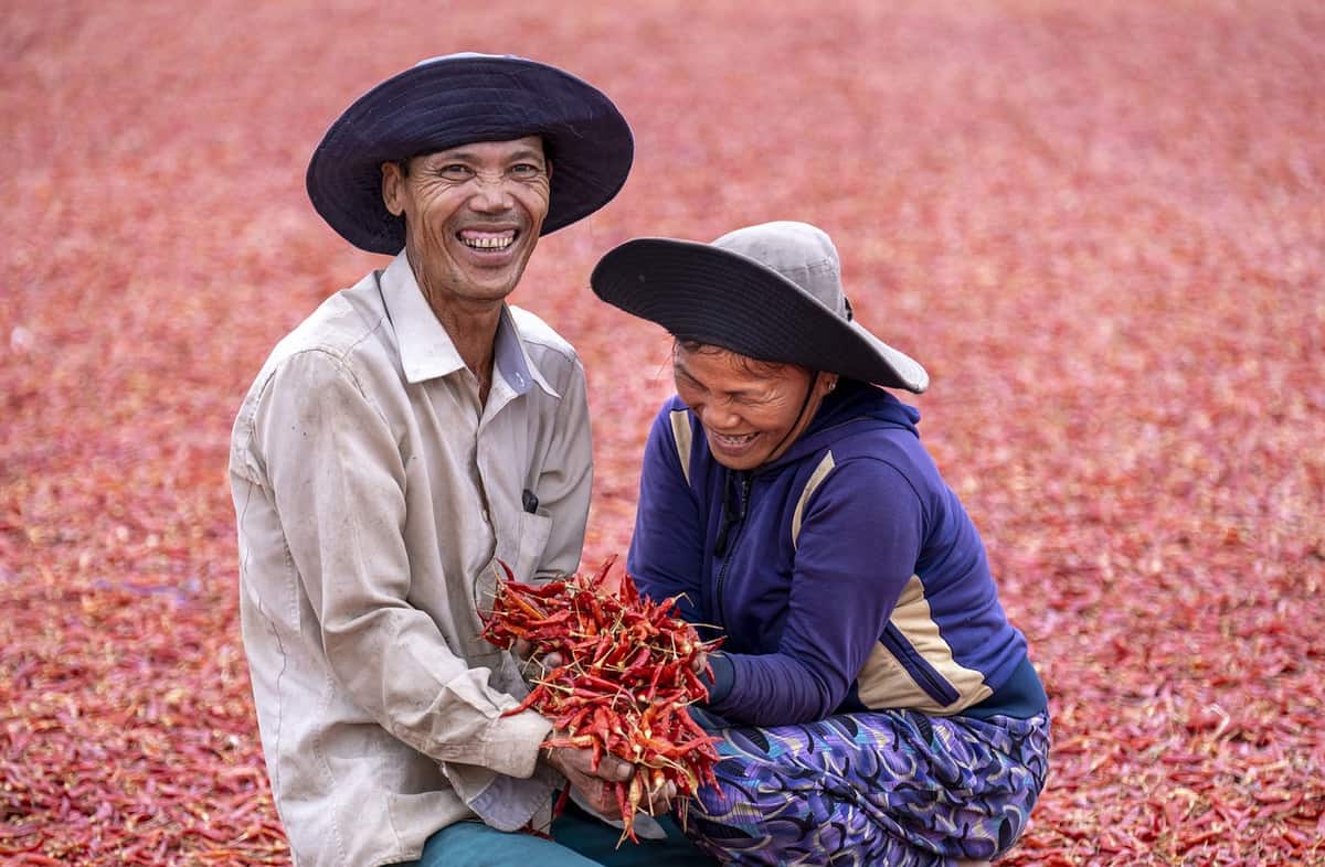 land-workers-friends