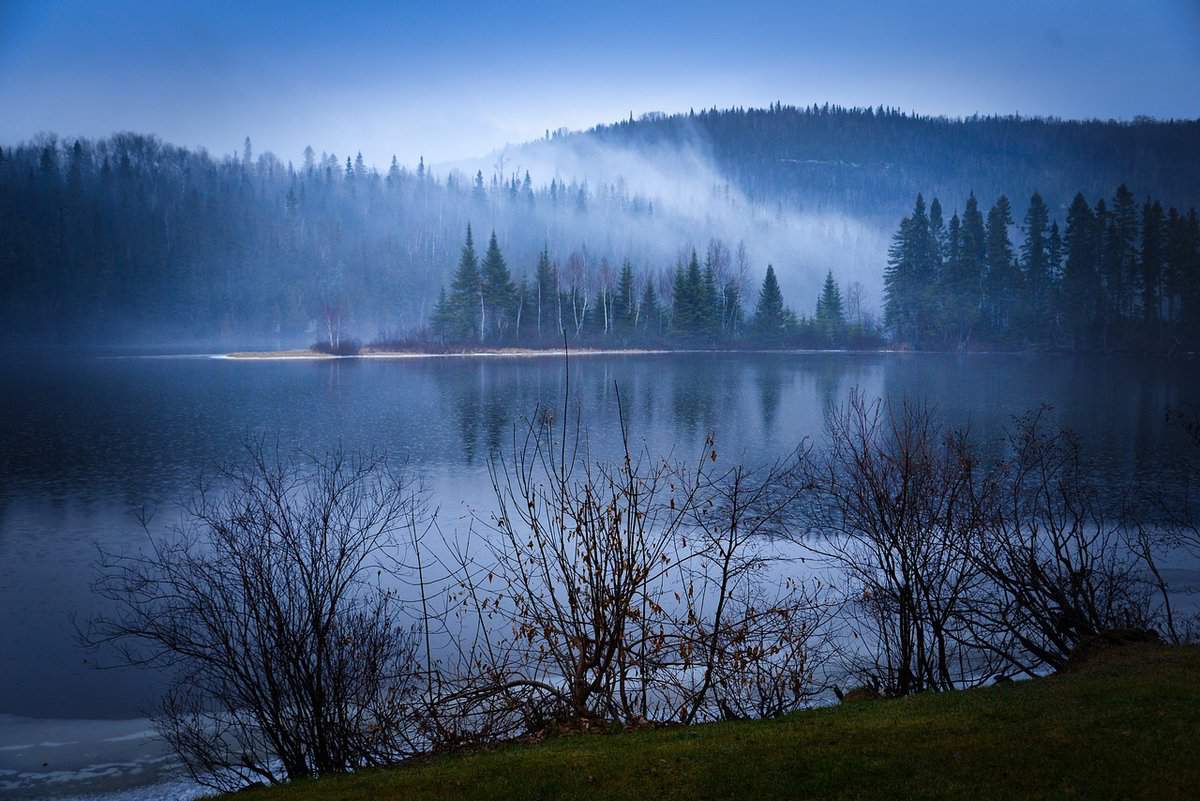 water-lake-shrubs