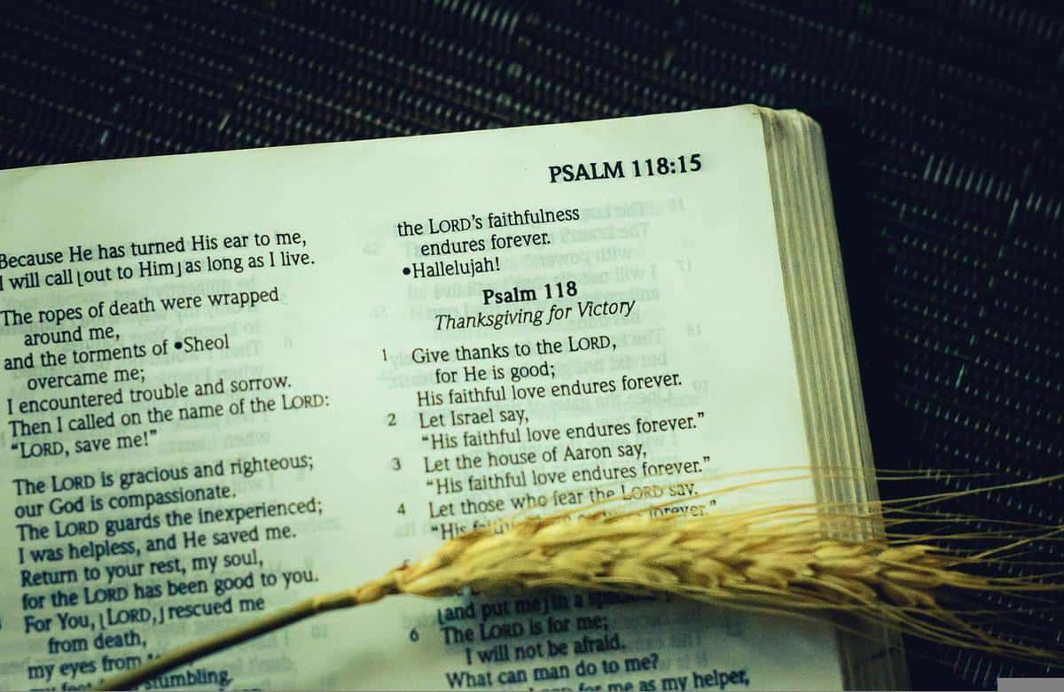 wheat-bible-verses