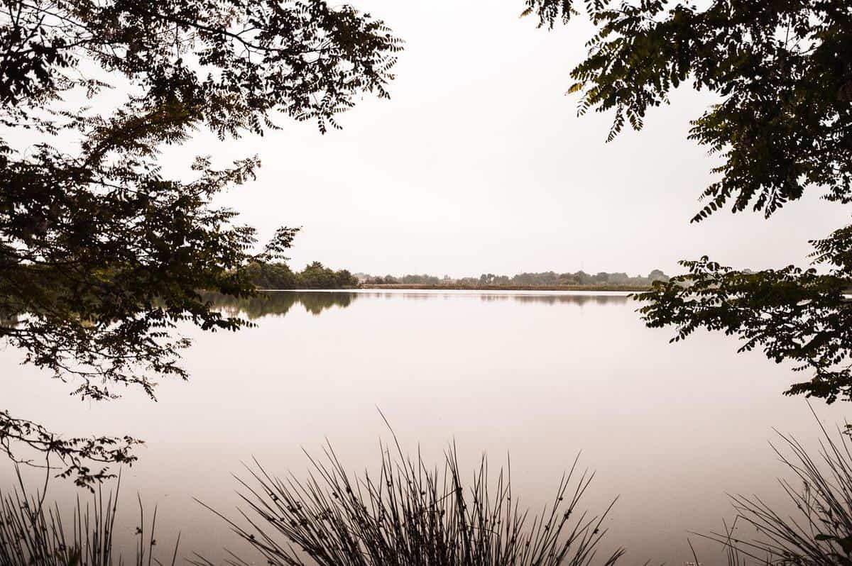 lake-water-mystery