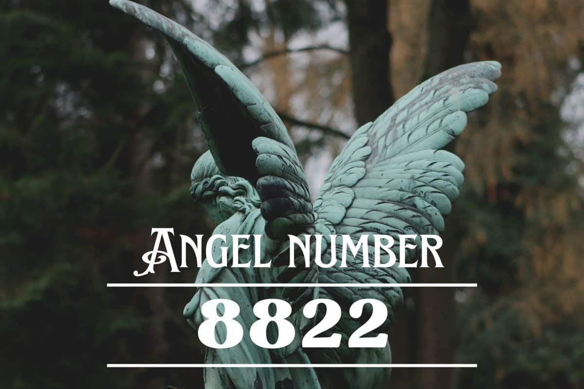 Angel Number 8822 Meaning Never Give Up Angelynum angel-number-8822-meaning-never-give-up-angelynum