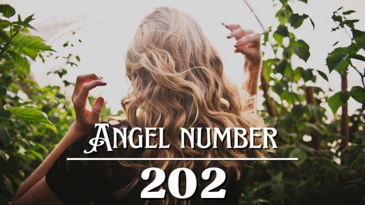 天使号码202的含义：做好人，做好事。