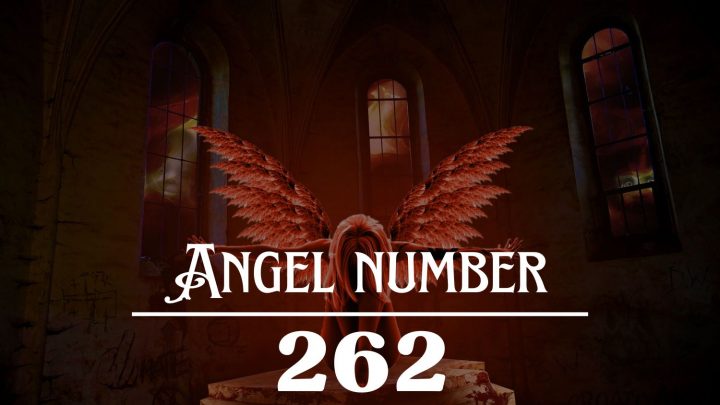 天使号码 262 的含义：爱将指引你。