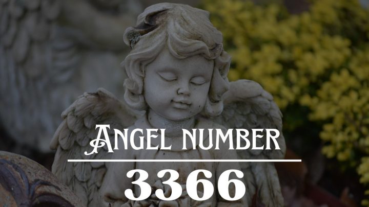Significado do Anjo Número 3366: O seu sucesso será determinado pela sua própria confiança