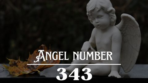 Angel Number 343 Meaning: The Beginning Of An Exciting New Adventure