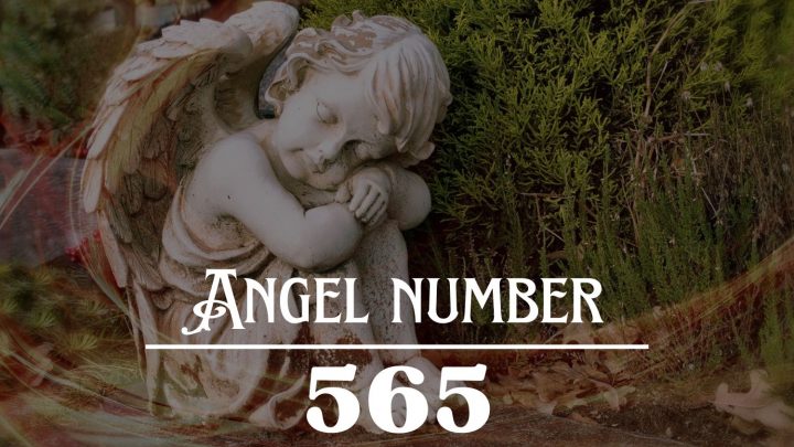 Angel Number 565 Meaning: Everything In Your Life Is About To Change !