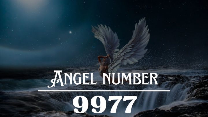 Angel Number 9977 Meaning: You Were Born To Be A Winner