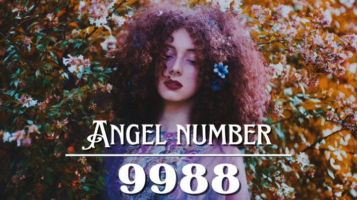 Angel Number 9988 Meaning: To See a World Healed