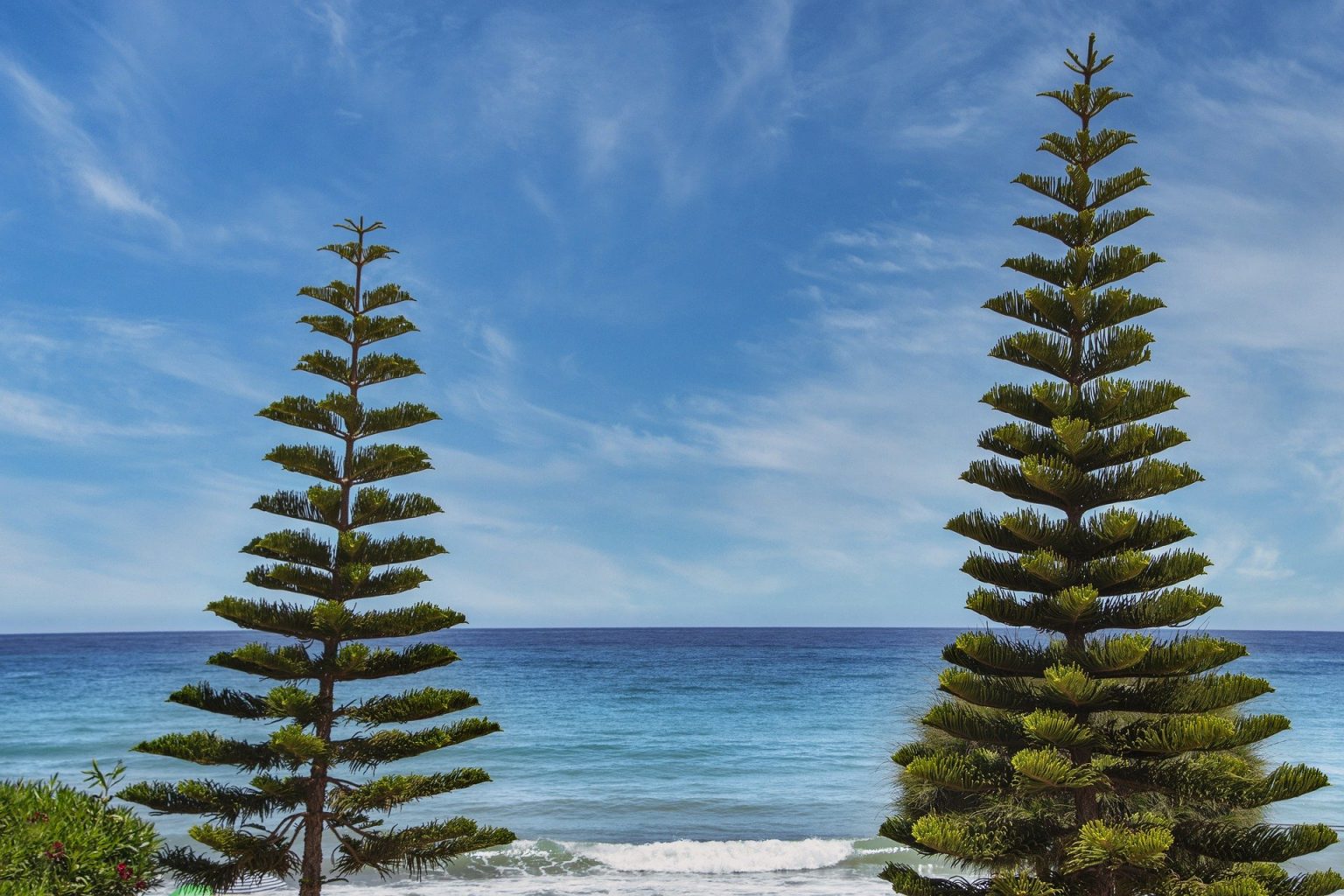 Angel Number 9922 Meaning It's All About Love