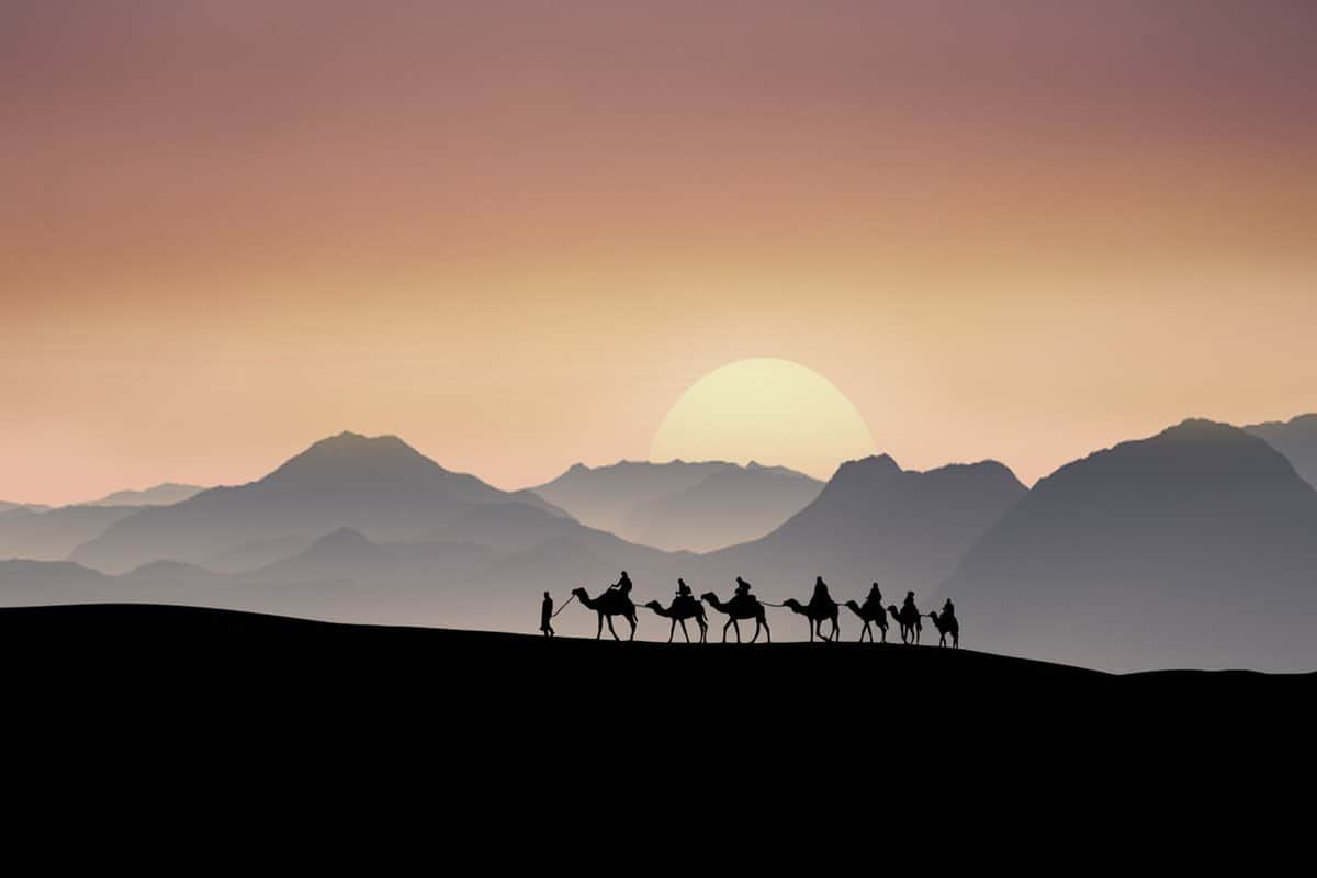 sunrise-desert-caravan