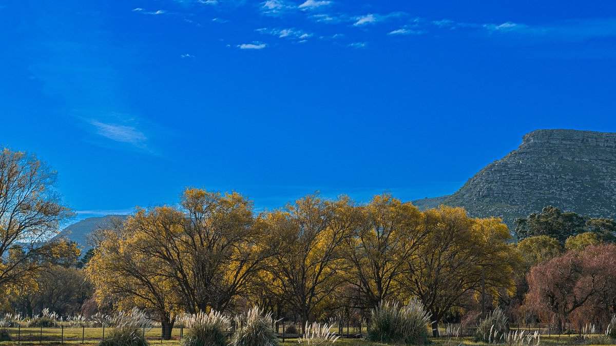 forest-park-beautiful