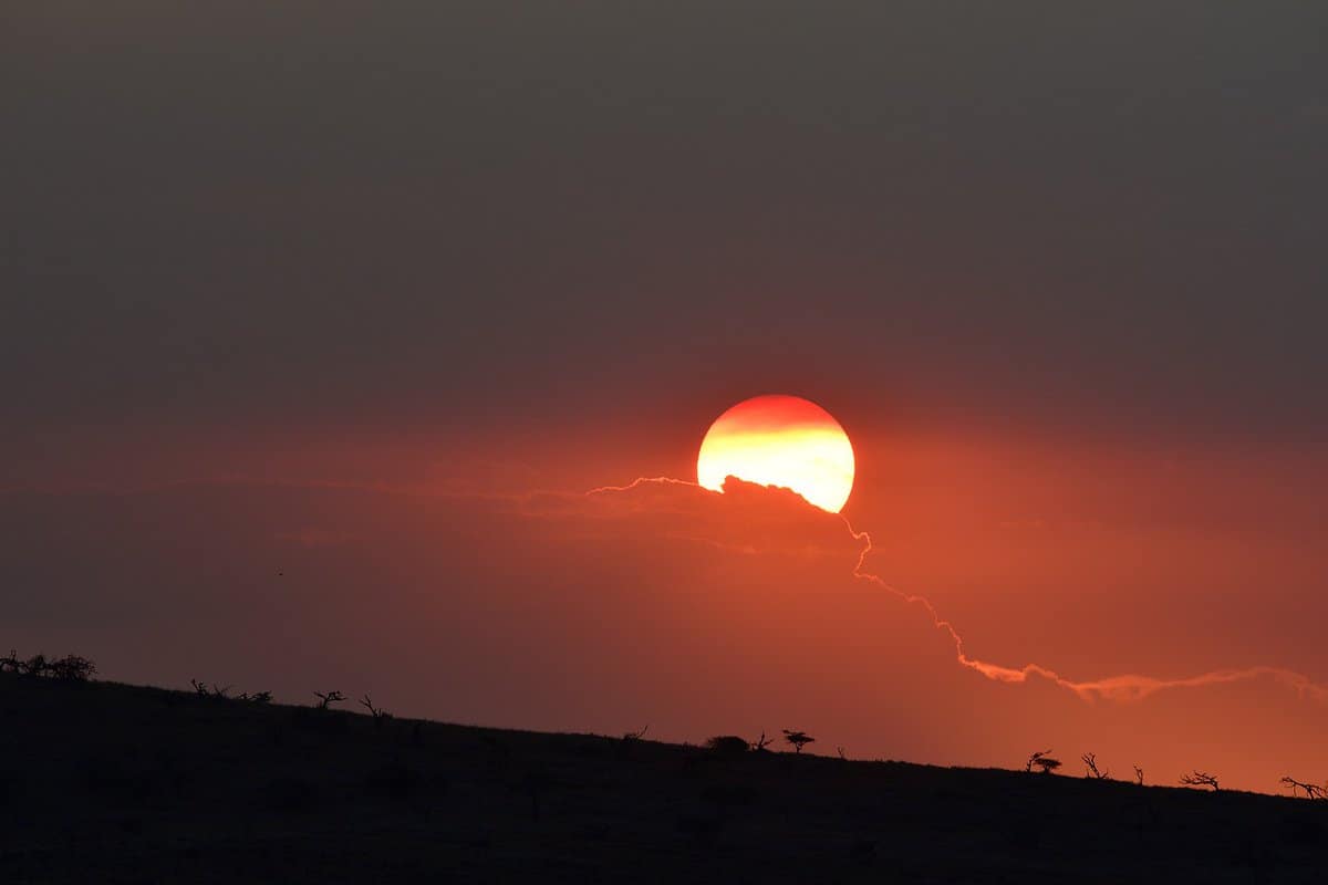 campo di sole splendente