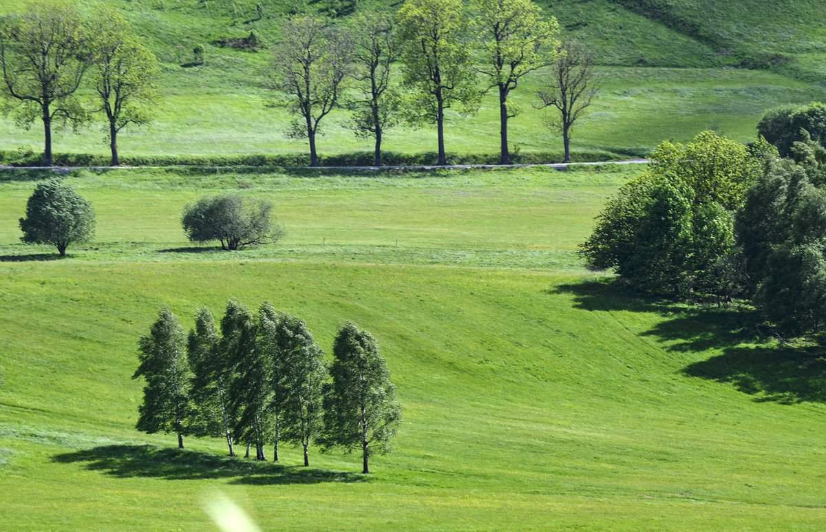 paisagem-verde-maravilhosa