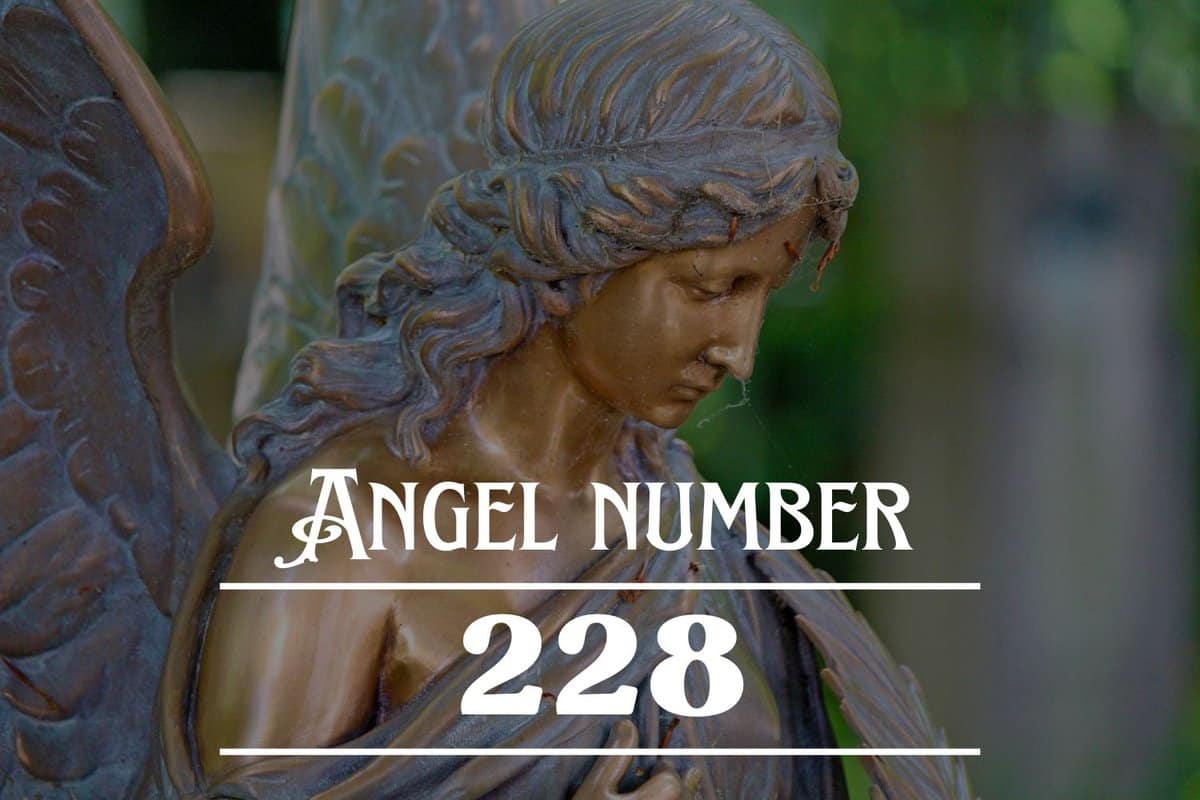 Angel Number 228 Meaning: You Will Go Far ! - Angelynum