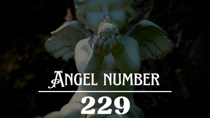 天使编号229的含义：是时候开始实现你的梦想了！。