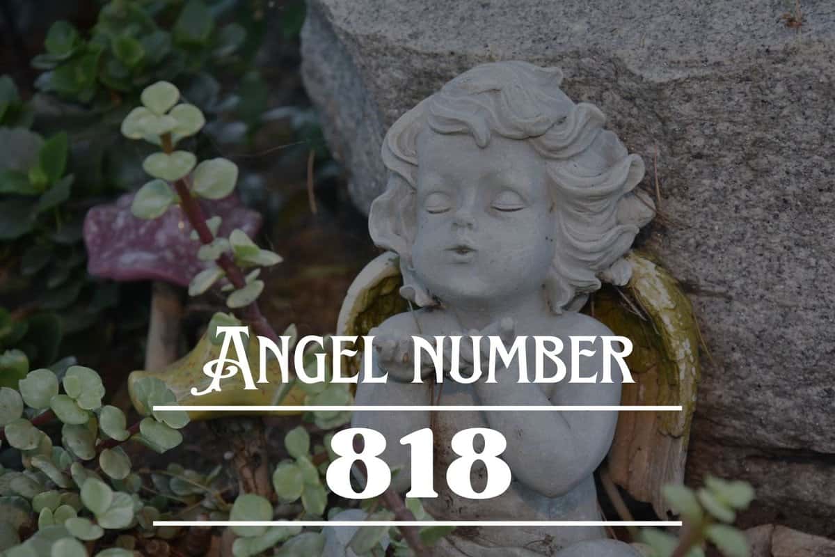 Angel Number 818 Meaning: A Wonderful New Tomorrow Awaits You ! - Angelynum