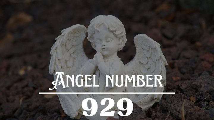 天使号码929的含义：一个新的和更好的生活在等待着你！。