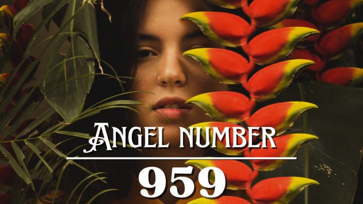 Angel Number 959 Meaning: Your Life Is Yours to Define