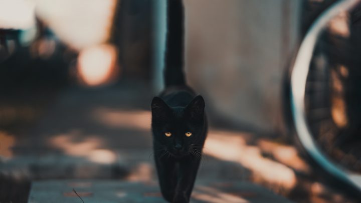 10 Superstitions People Still Believe In Around the World
