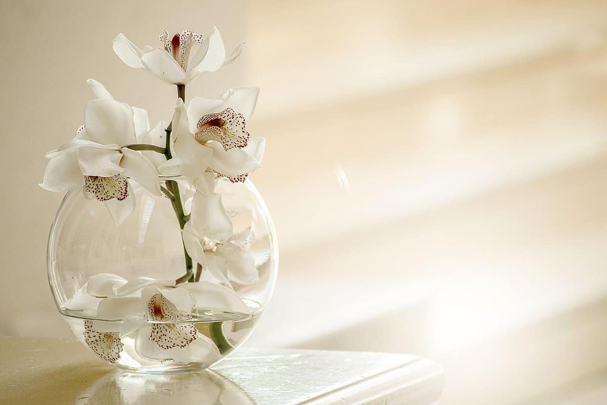 glass-vase-white