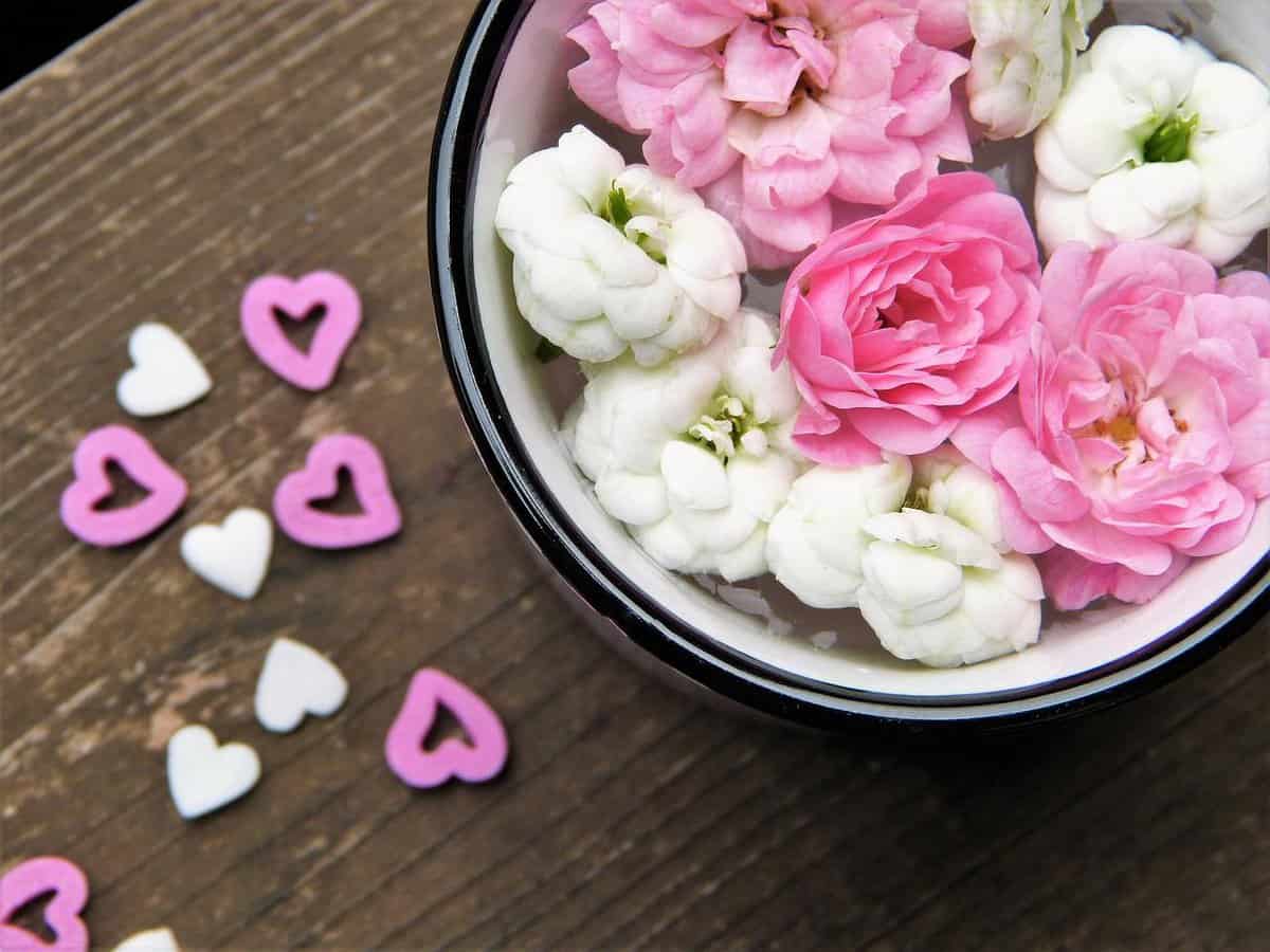 love-valentines-roses