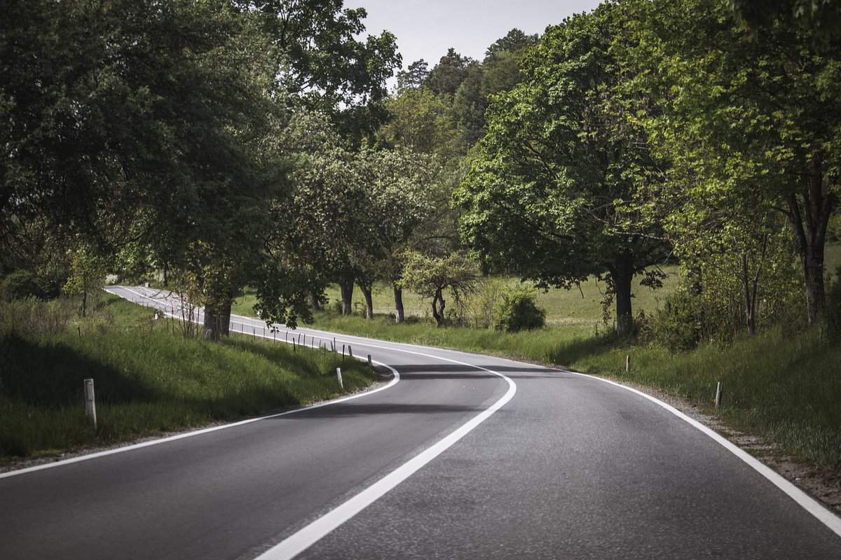 asphalt-road-trees