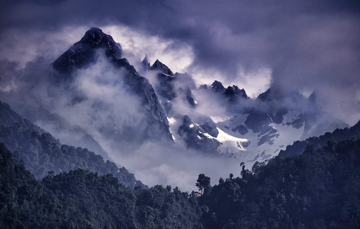 nebbia-alberi-nubi