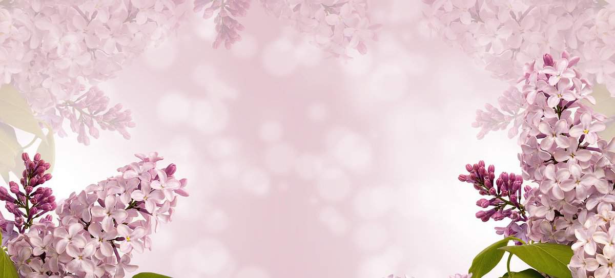 pink-flower-petals