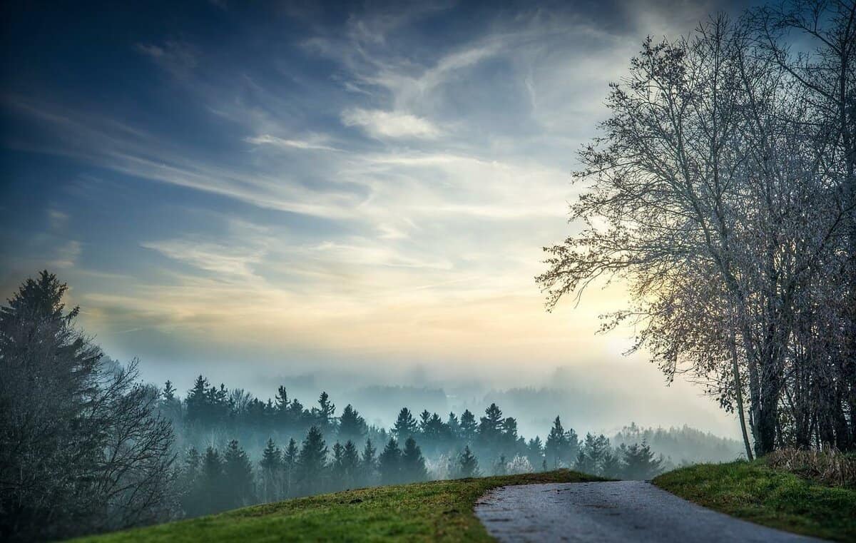 sky-landscape-forest