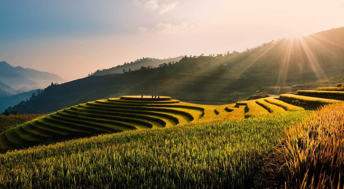 colline a schiera-asia