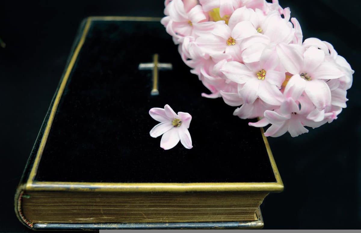 hyacinth-holy-scripture