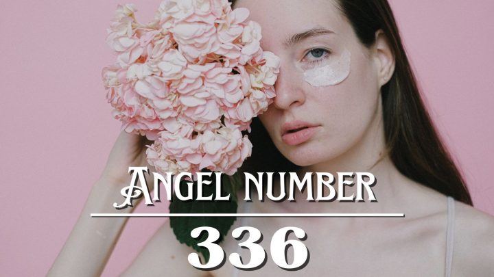 Angel Number 336 Meaning: A Positive Mind Creates Success