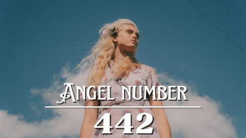 Angel Number 442 Meaning: In Love Lies Balance - Angelynum