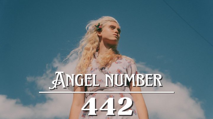 Angel Number 442 Meaning: In Love Lies Balance