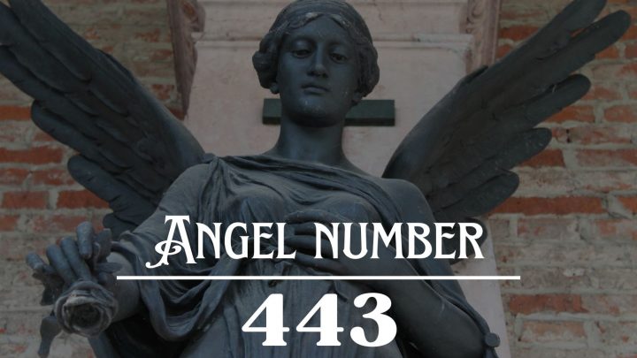 Angel Número 443 Significado: Trabaja duro y triunfarás 
