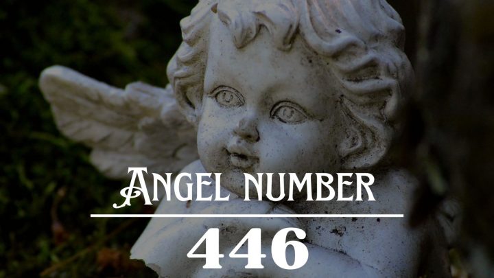 Significato del numero Angelo 446: E' ora di iniziare a vivere la vostra vita migliore!