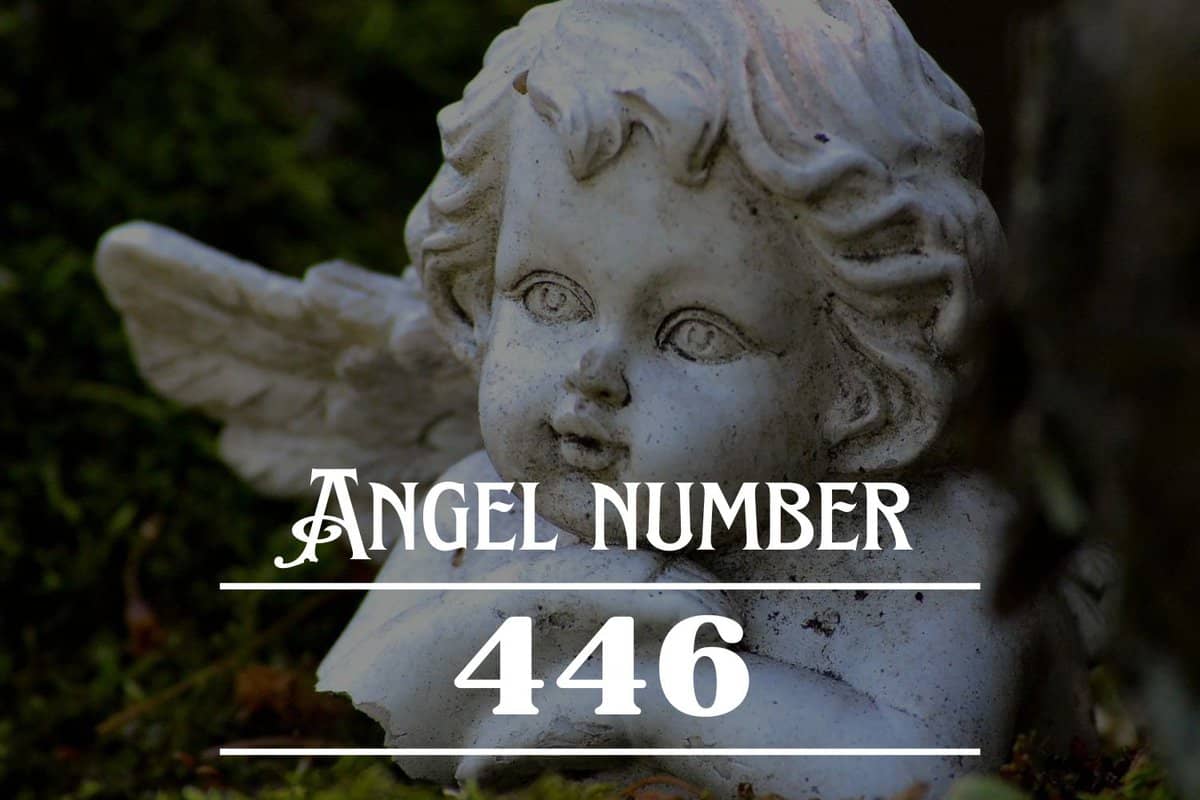 Angel Number 446 Meaning: It's Time To Start Living Your Best Life ...