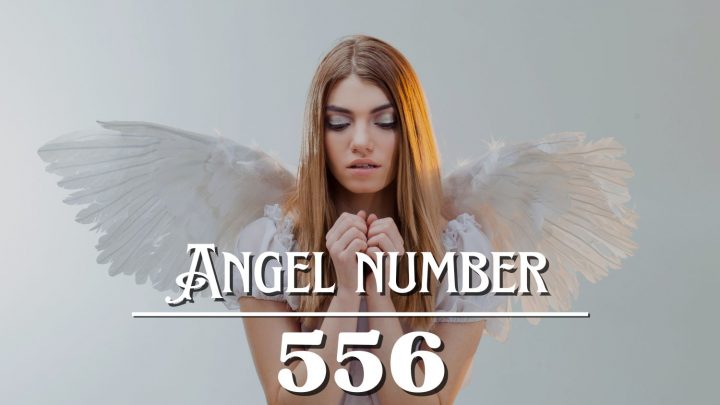 Angel Número 556 Significado: Amar es cambiar