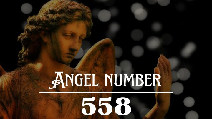 Angel Number 558 Meaning: Now Is The Time To Start Creating A Happy Life For Yourself !
