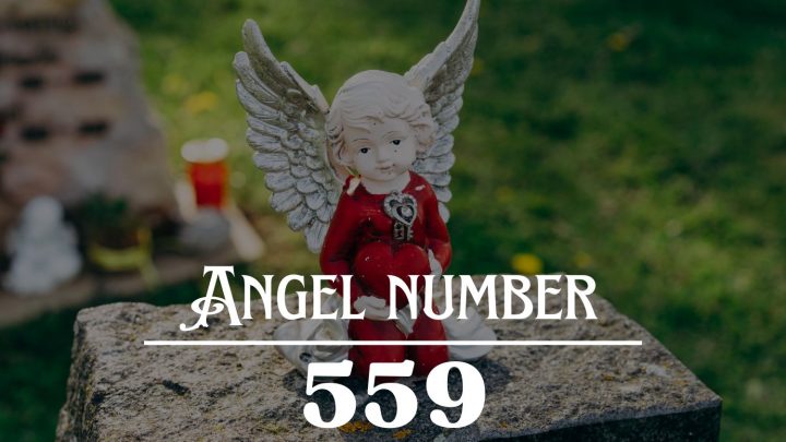 Significado do Anjo Número 559: A vida é um milagre