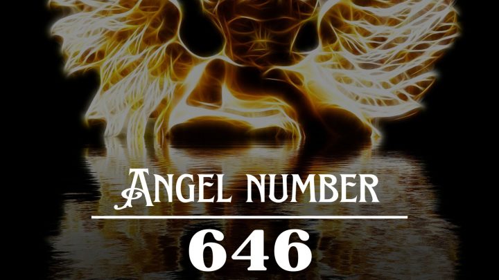 Angel Number 646 Meaning: Love is Found in Your Heart