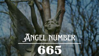 Angel Number 665 Meaning: The Good Times Are Coming