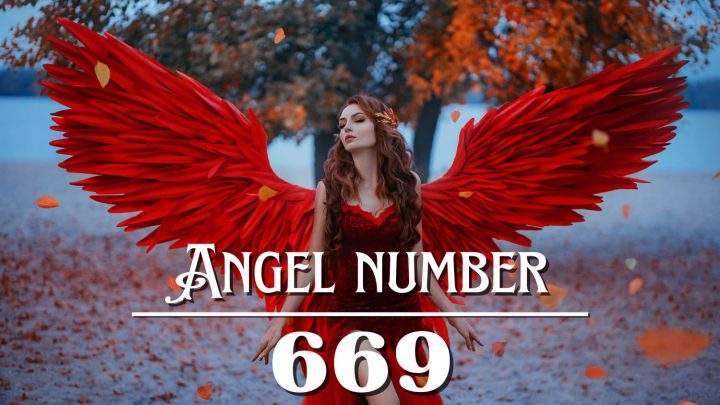 天使号码 669 的含义：连接你的内在自我。