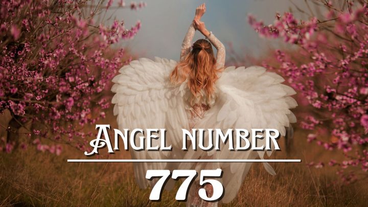 天使号码775的含义：改变你的想法，改变你的生活。