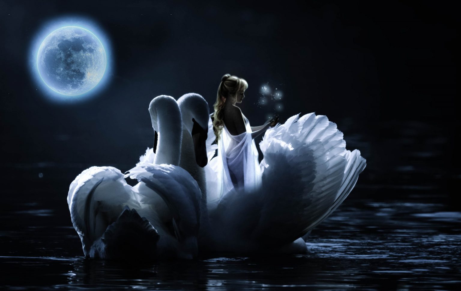 Луна лебединая. Луна и лебеди. Лебедь фэнтези. Лебеди под луной. Лебедь ночью.