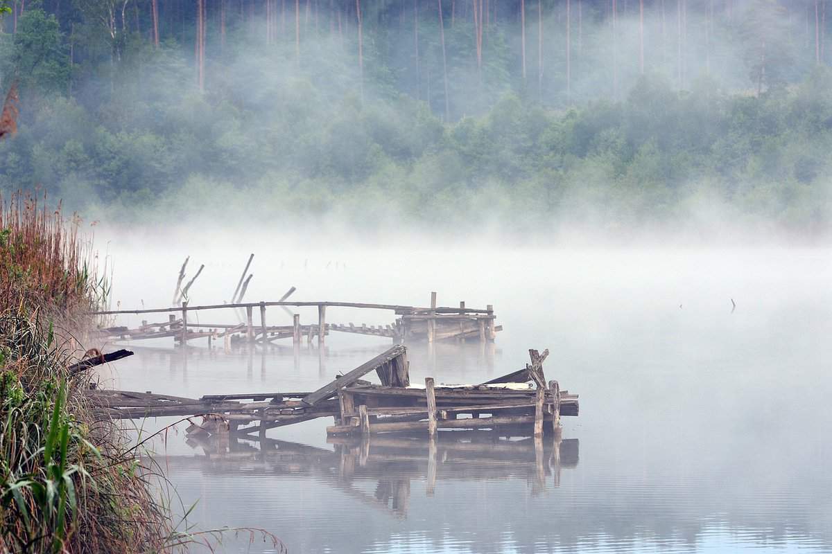 fiume-legno di vischio