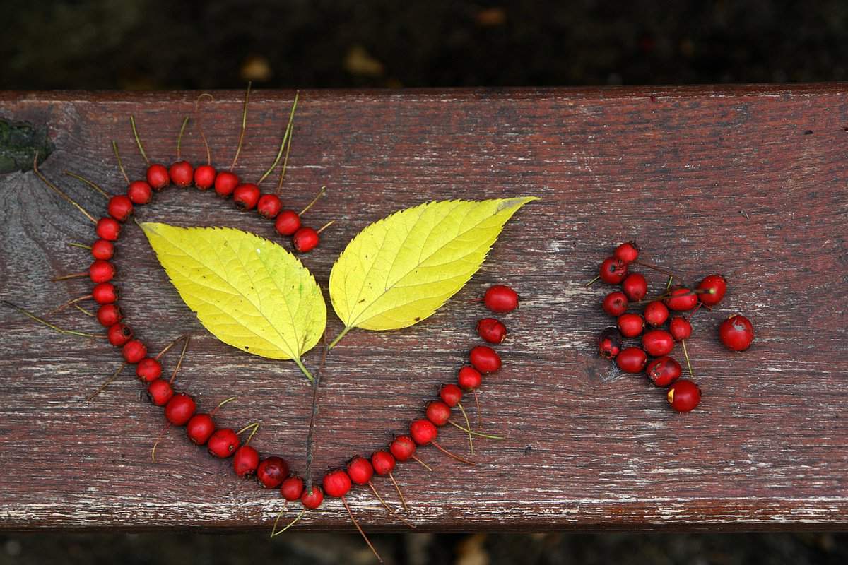 bacche rosse-amore