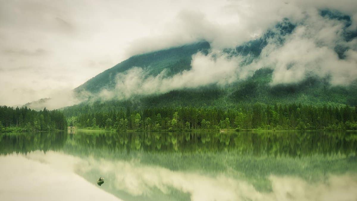 nebbia-natura